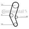 CONTITECH CT809 Timing Belt